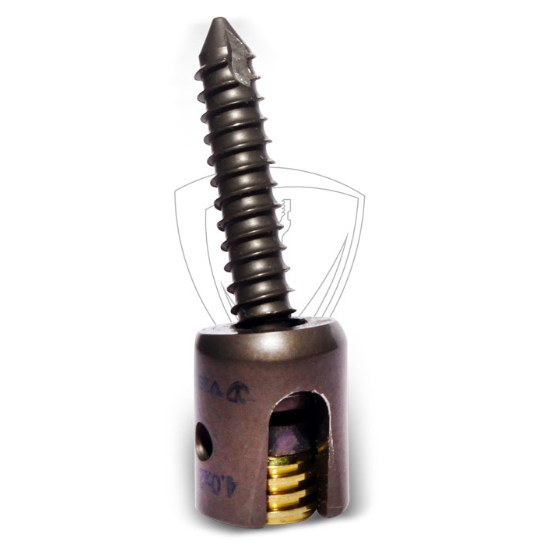 Lateral Mass Poly Screw